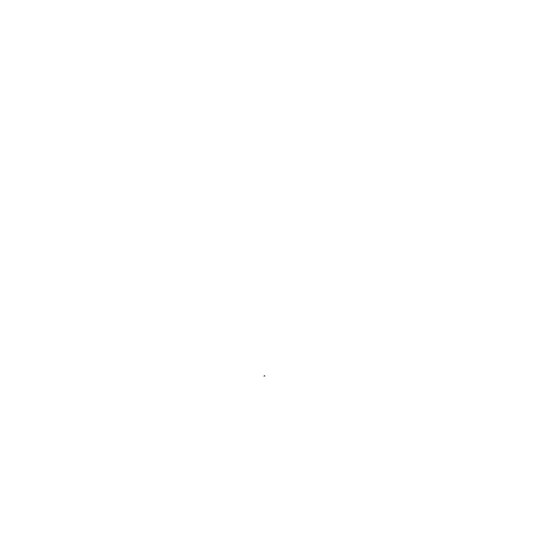 30 AÑOS I CODEM