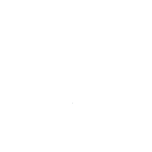 30 AÑOS I CODEM